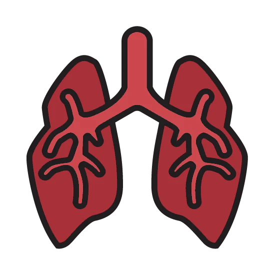 Embroidery - Icon Only - Image 4