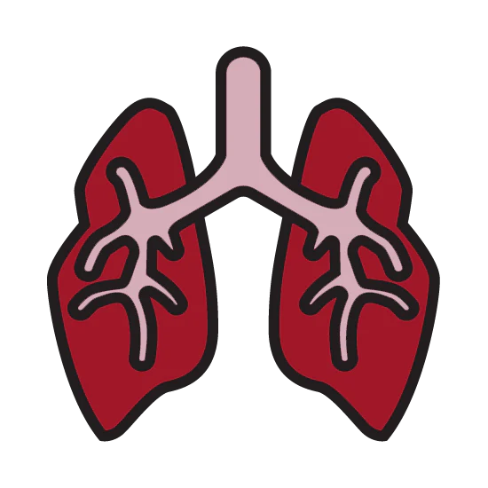 Embroidery - Icon & Text - Image 4